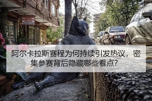 a-er-ka-la-si-sai-cheng-wei-he-chi-xu-yin-fa-re-yi-mi-ji-can-sai-bei-hou-yin-cang-na-xie-kan-dian-1-350.jpg